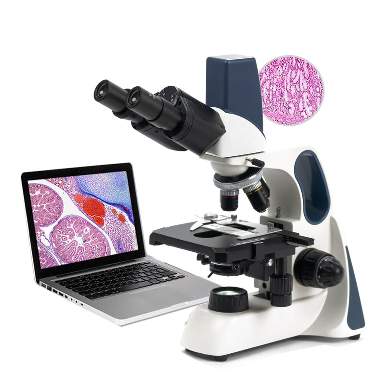 Official】Swift Microscopes - Top Microscope Brand – SWIFT MICROSCOPES