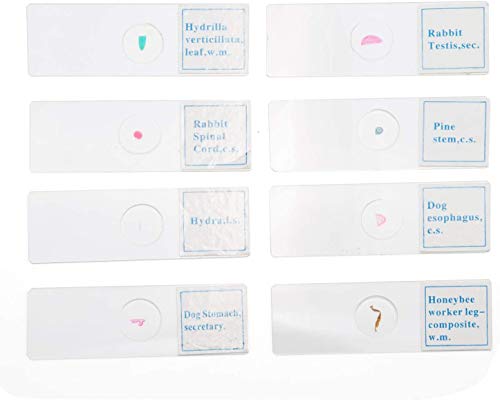 25 PCS Prepared Premade Microscope Slide Set with Specimen for Basic B ...
