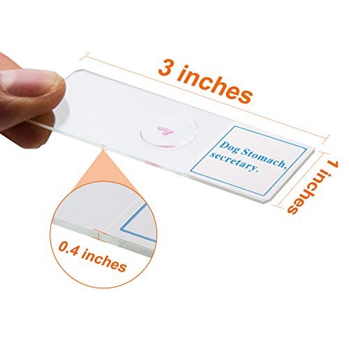 Microscope Slide Containing Samples 25 PCS Prepared Premade Microscope Slide Set with Specimen for Basic B ...