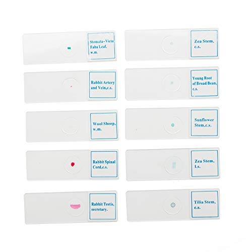Microscope Basic Slide 50pcs Prepared Premade Microscope Slides Set for Basic Biological Scie ...